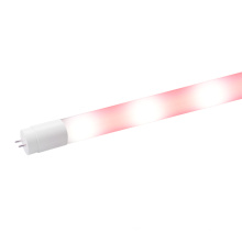 High Quality LED Tube for Fish Made of Milky Glass